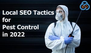 local seo for pest control