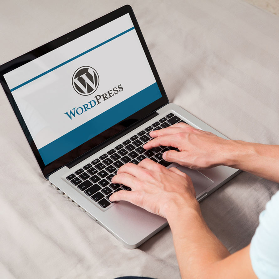 Hire WordPress SEO Specialist to Accelerate Organic Performance